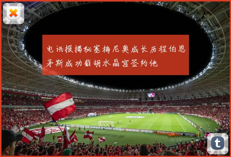 电讯报揭秘塞梅尼奥成长历程伯恩茅斯成功截胡水晶宫签约他